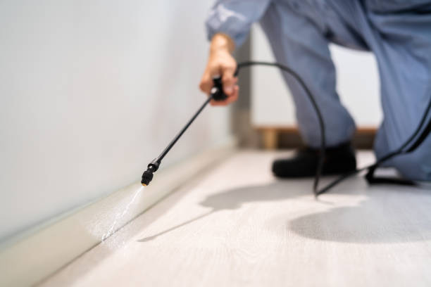 Certified termite inspector examining foundation in Malvern